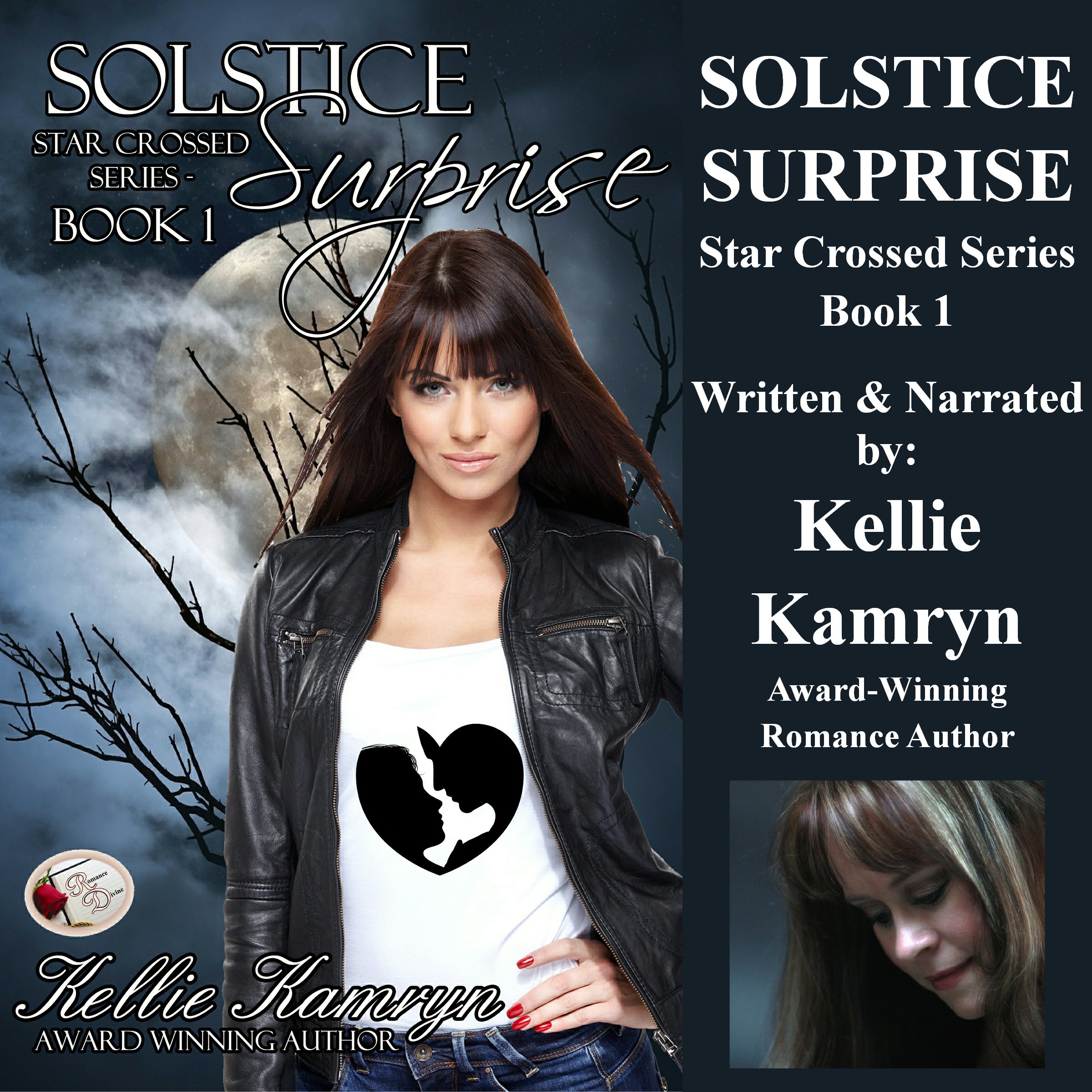 Cover art for Solstice Surprise