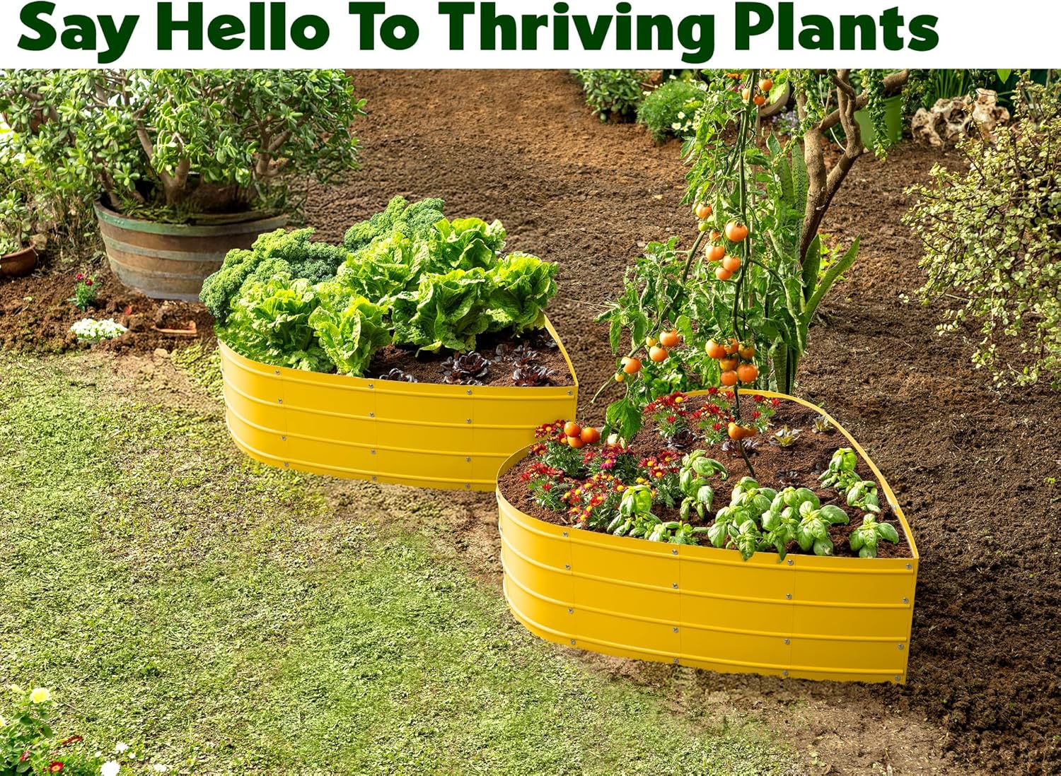 Plant & Plot Galvanized Raised Garden Beds Outdoor // Planter Raised Beds for Gardening, Vegetables, Flowers // Large Metal Garden Box (Yellow) // Patent Pending Tool-Free Assembly