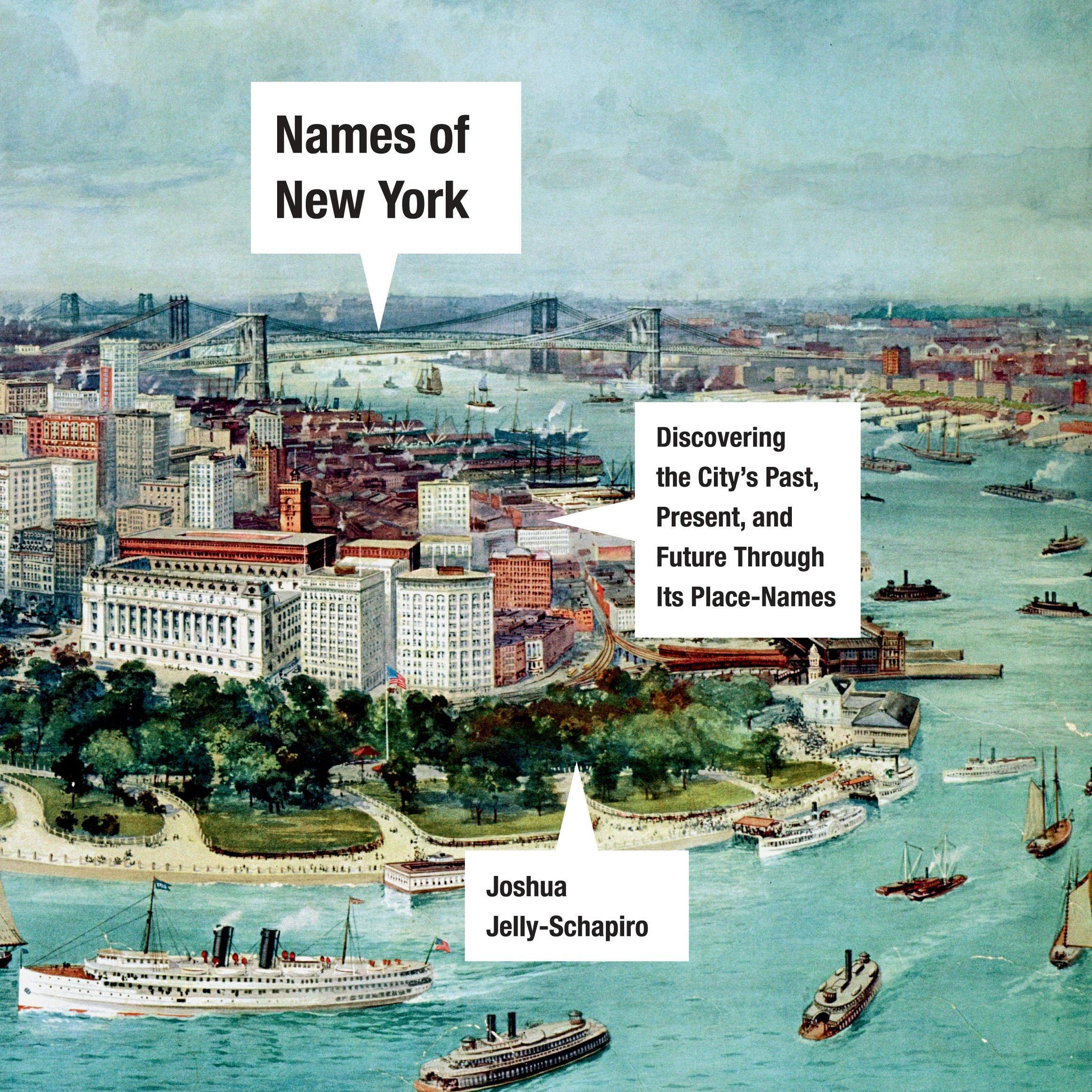 Cover art for Names of New York