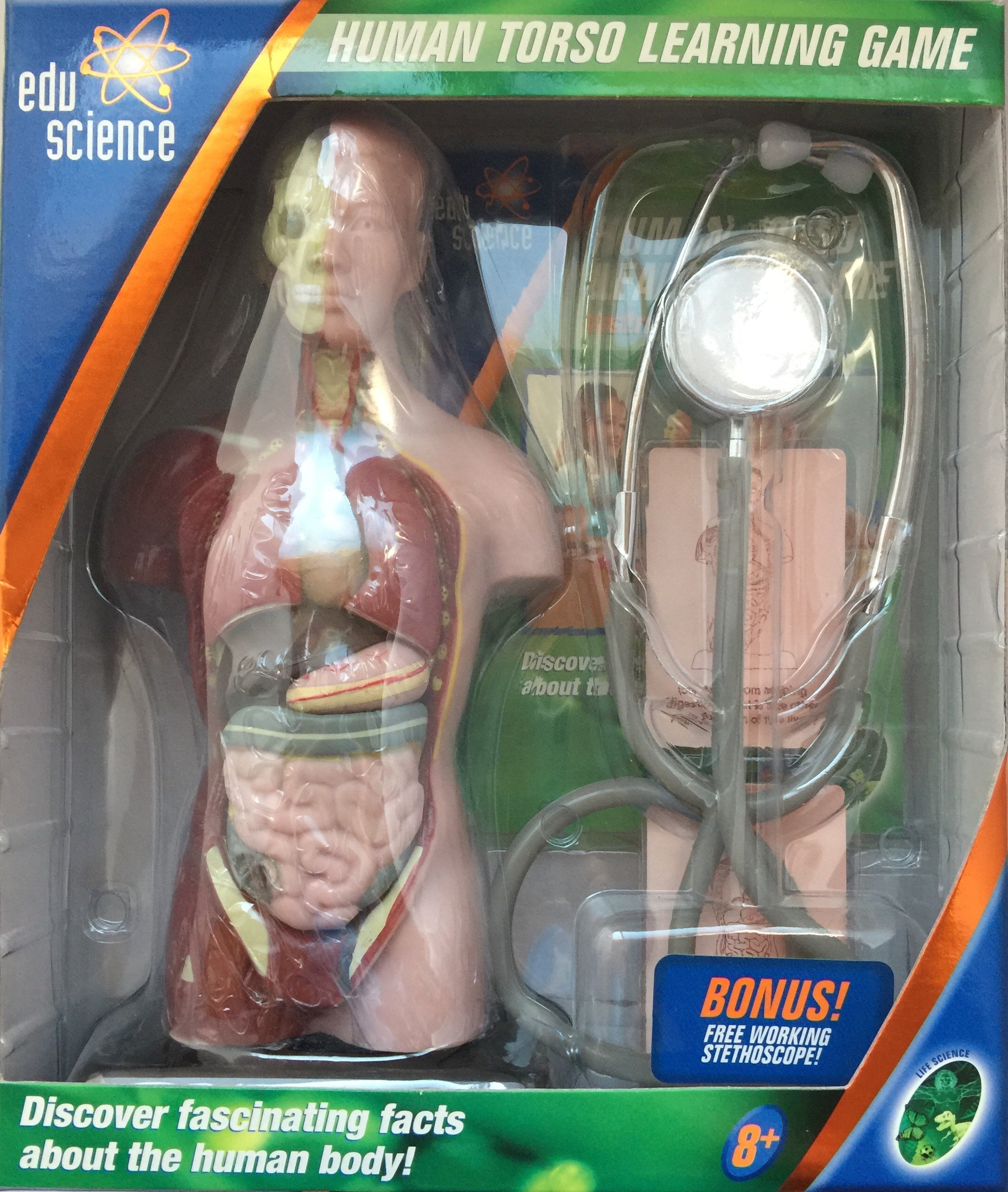 Edu Science Human Body Learning Game with Bonus Stethoscope