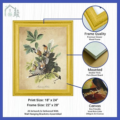 Vista 23 de Towee Bunting by James Audubon - Marco biselado negro de 12 x 16 pulgadas, decoración artística enmarcada para pared, reproducción de pinturas