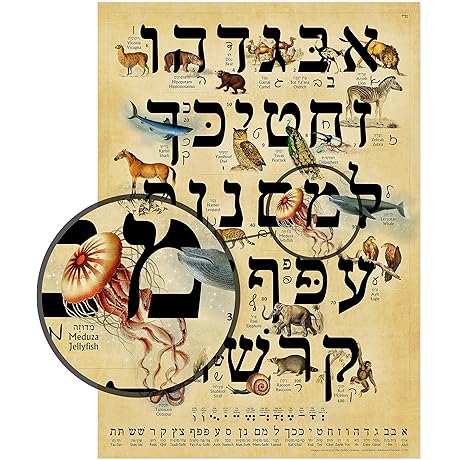 Hebrew Alphabet Flash Cards: Learn Hebrew with Vibrant Animal Illustrations