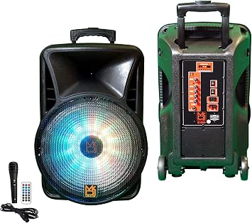 MR DJ DJ12BAT+ 12" Portable Bluetooth Speaker