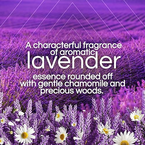 Miniatura 3 de Air Wick - Kit de iniciación de aceite aromático Plug in 2 calentadores  6 repuestos