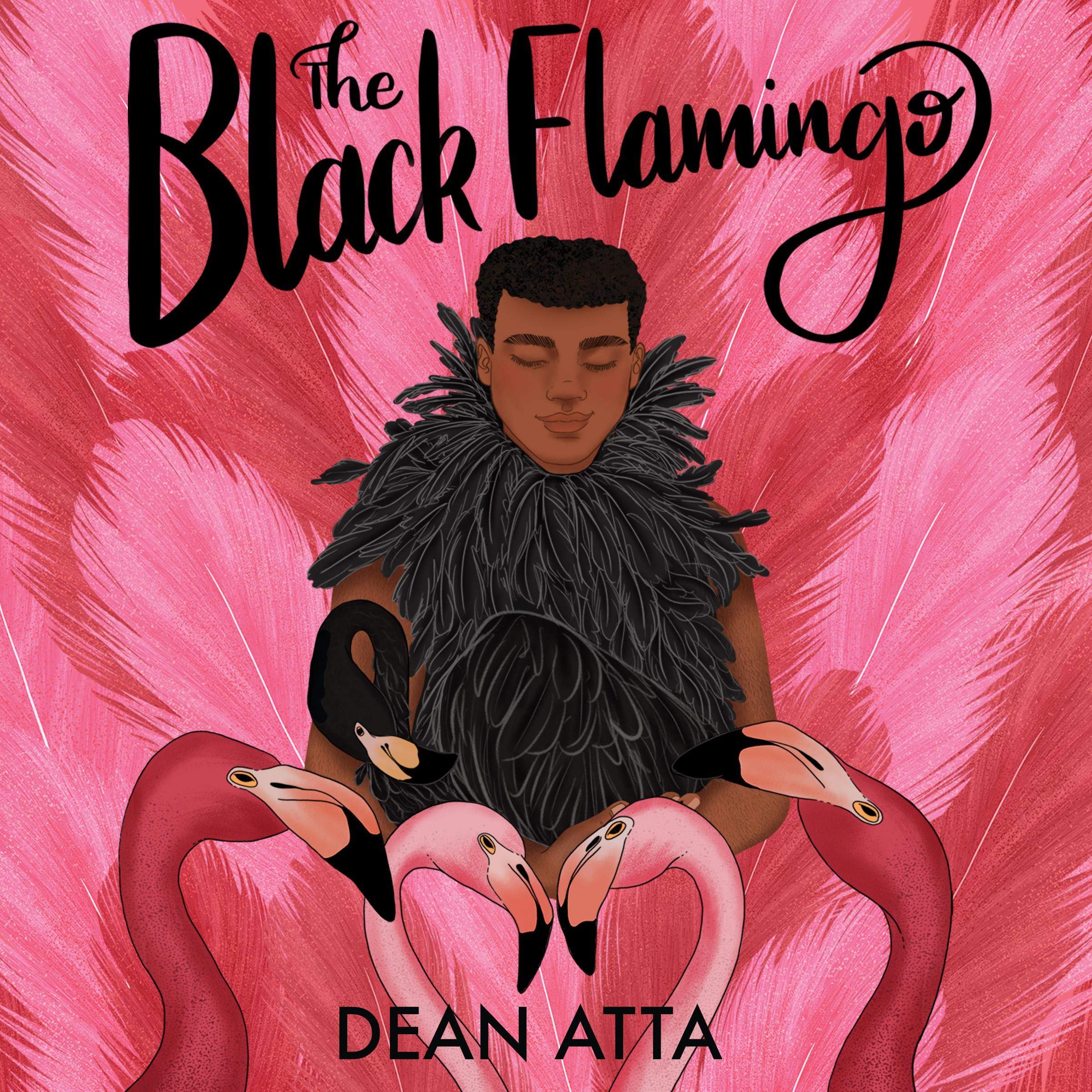 Cover art for The Black Flamingo