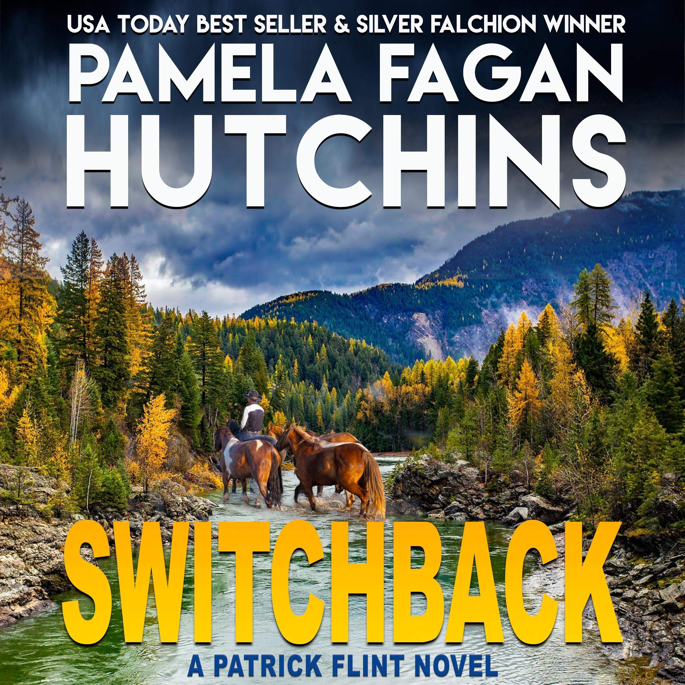 Cover art for Switchback