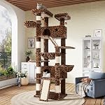 SHA CERLIN 81in Tour multi-niveau de chat haut pour les chatons d'intérieur / Larger Cat Condo Meubles avec Hammock/Cozy Pussycat Perches/Sisal Scratching Posts/Pet House/Wide Base/Leopard Print