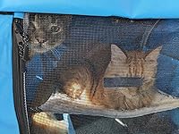 Review Image by Lindsay Dennis Lindsay Dennis