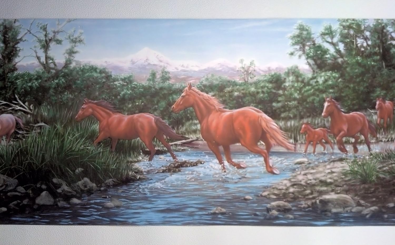 Wild Horses Wallpaper Border Horse Crossing Stream Wallpaper