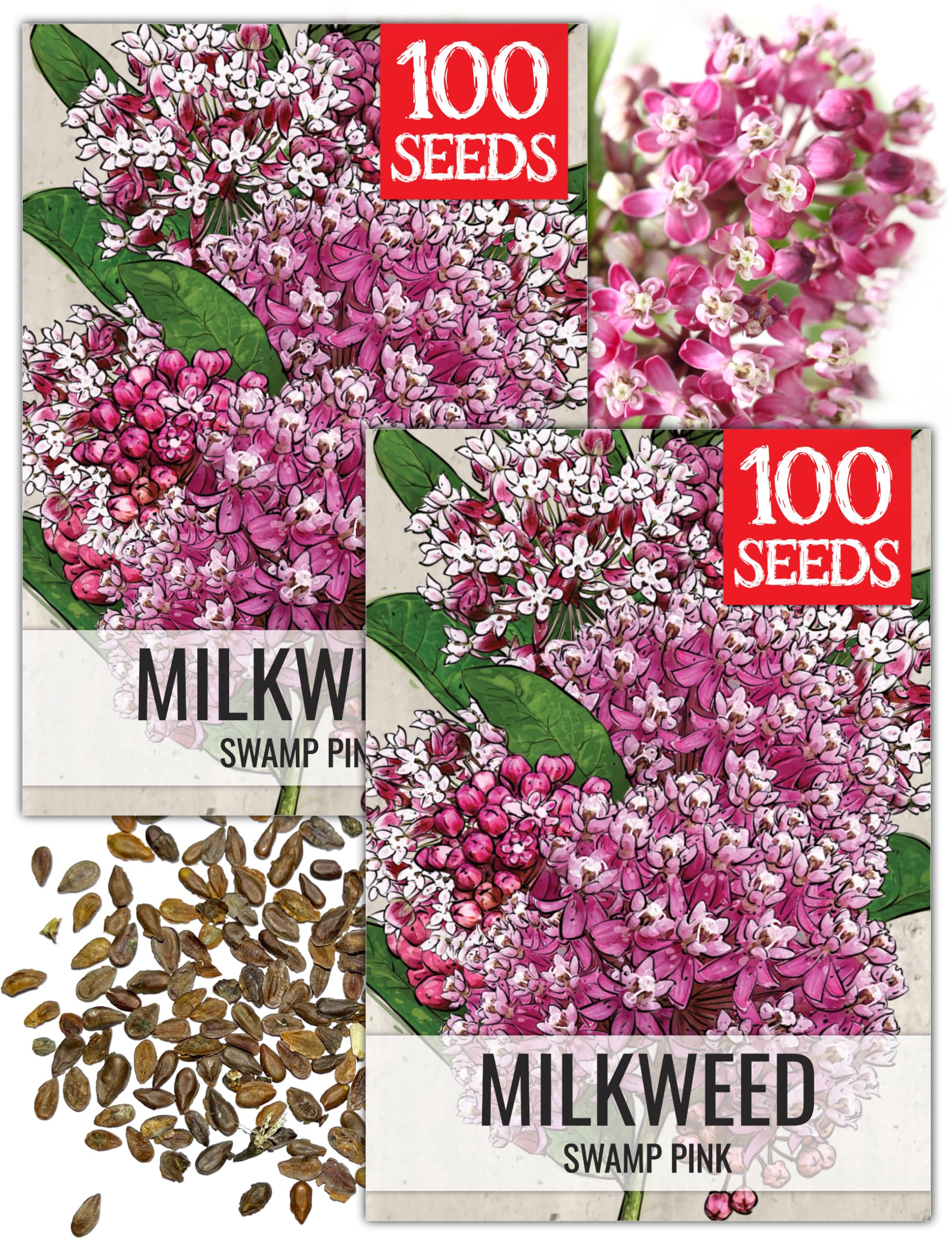 Seed Needs Pink Swamp Milkweed Seeds for Monarch Butterflies 2 Packs