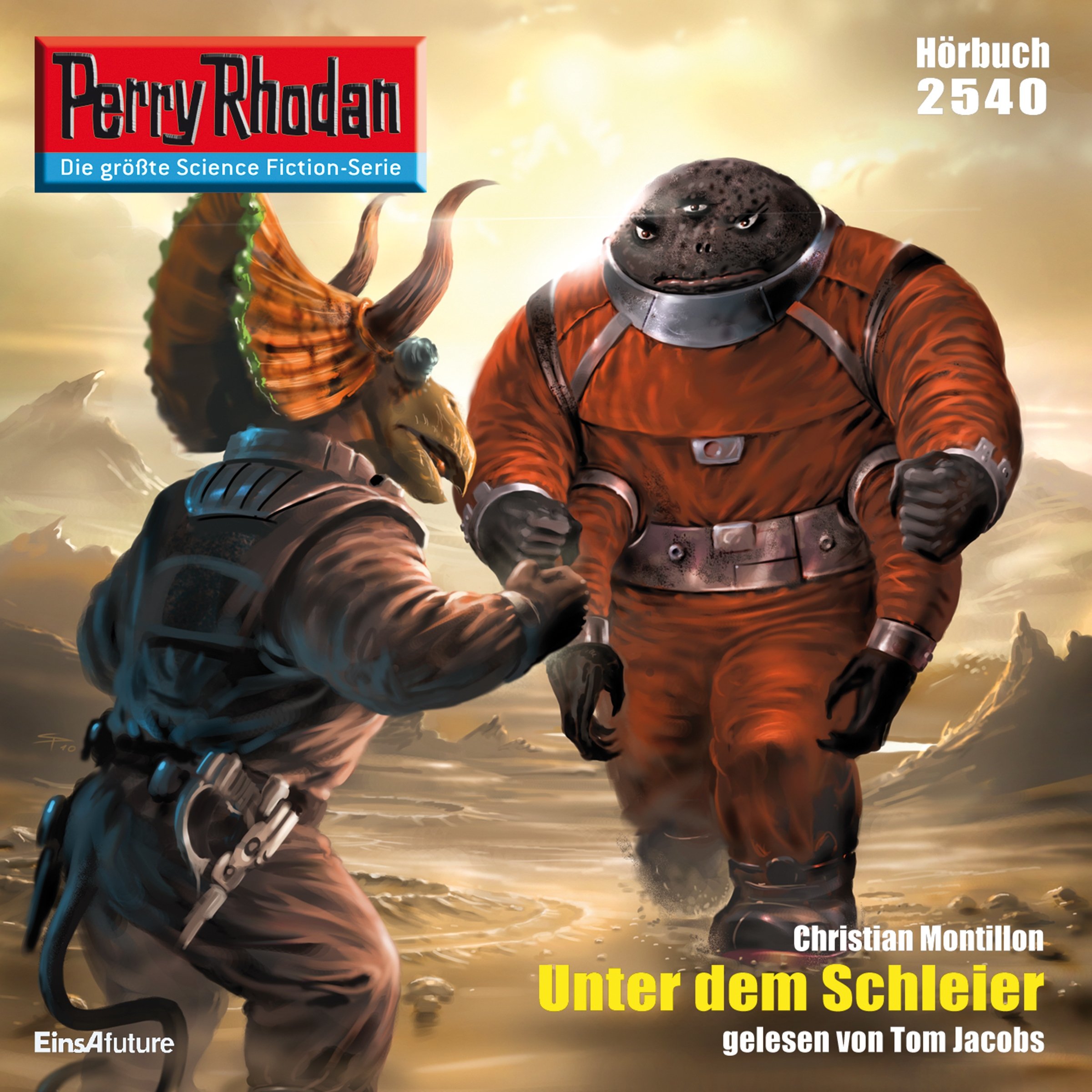 Cover art for Unter dem Schleier