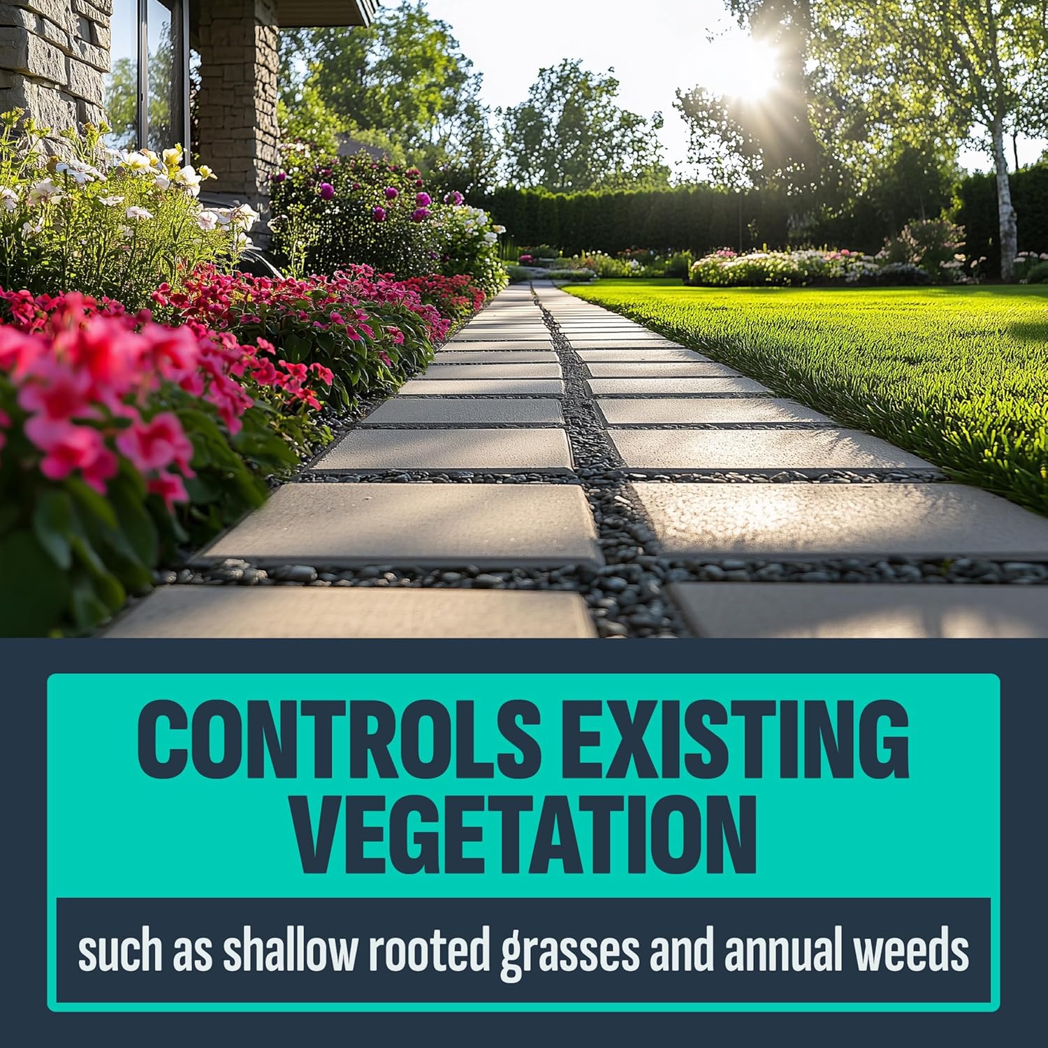 Lilly Miller 100502679 Noxall Ready to Use Granular Vegetation and Weed Killer, 10-Pound