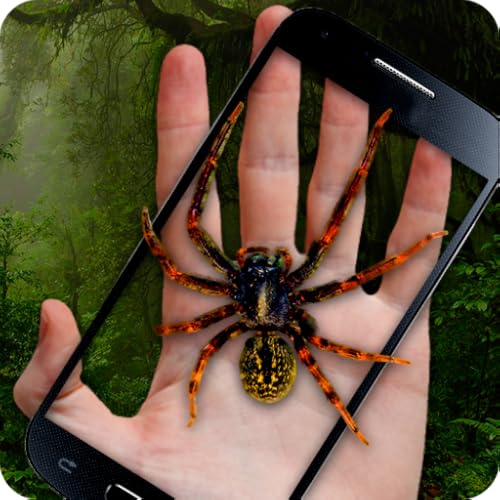 Spider & Hand Crazy Prank