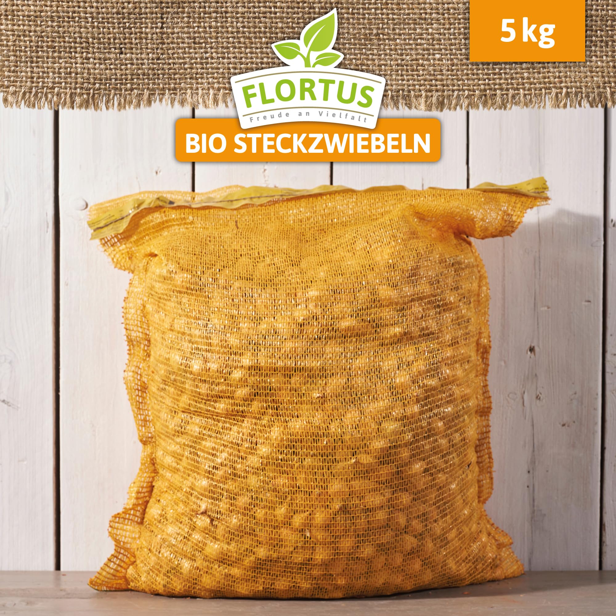 FLORTUS – BIO Wintersteckzwiebel Stuttgarter Riesen 5 kg Netz zertifiziertes Pflanzgut – Zwiebelgröße 8-21 mm, für den Anbau von mild-scharfen, goldenen, Zwiebeln – Für Garten & Hochbeet