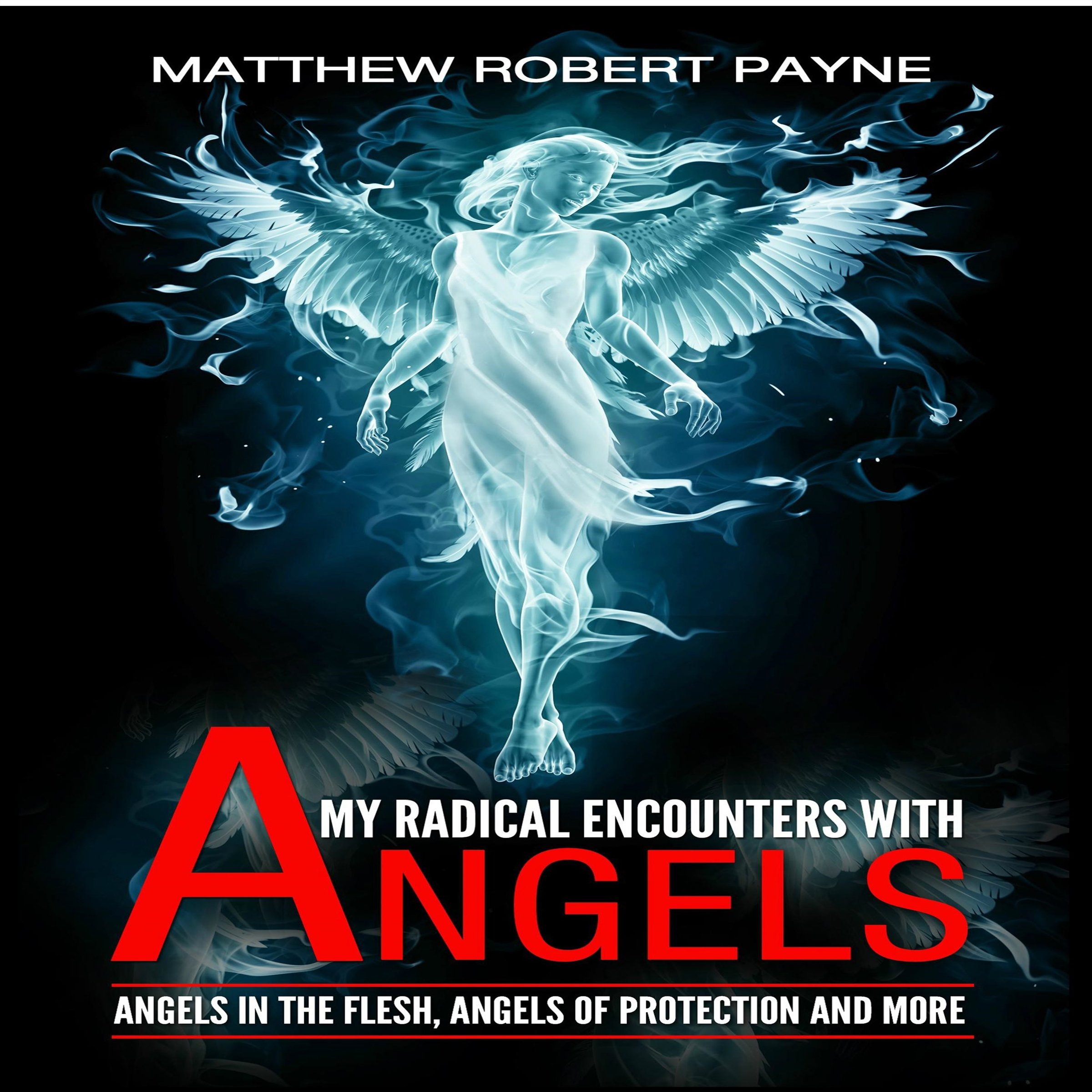 Cover art for My Radical Encounters with Angels