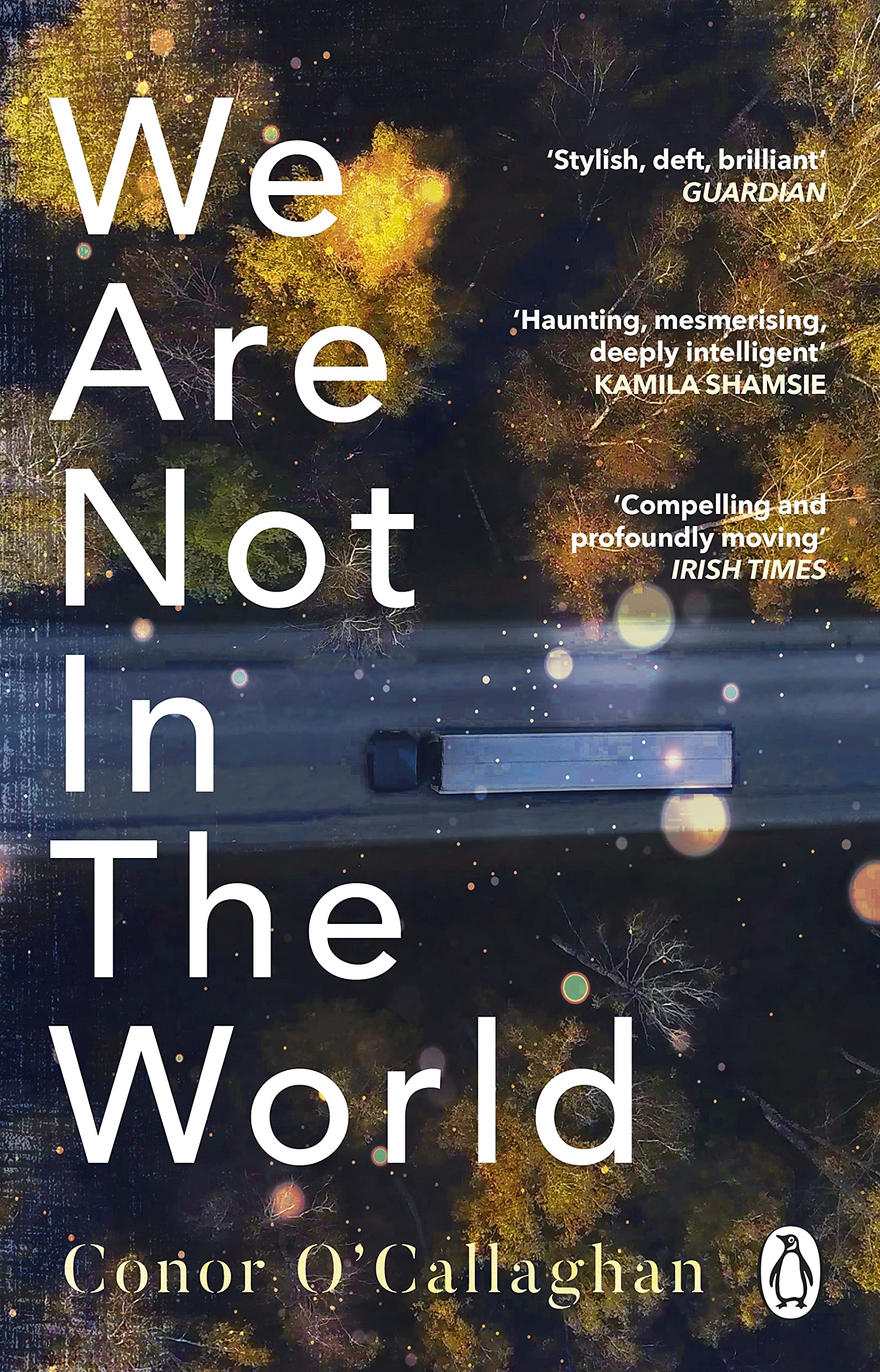 We Are Not in the World: ‘compelling and profoundly moving’ Irish Times
