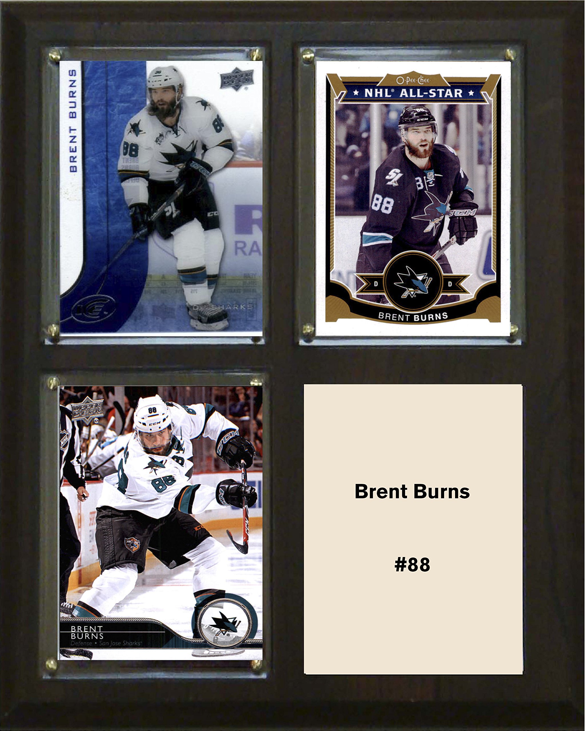 NHL San Jose Sharks NHL 8