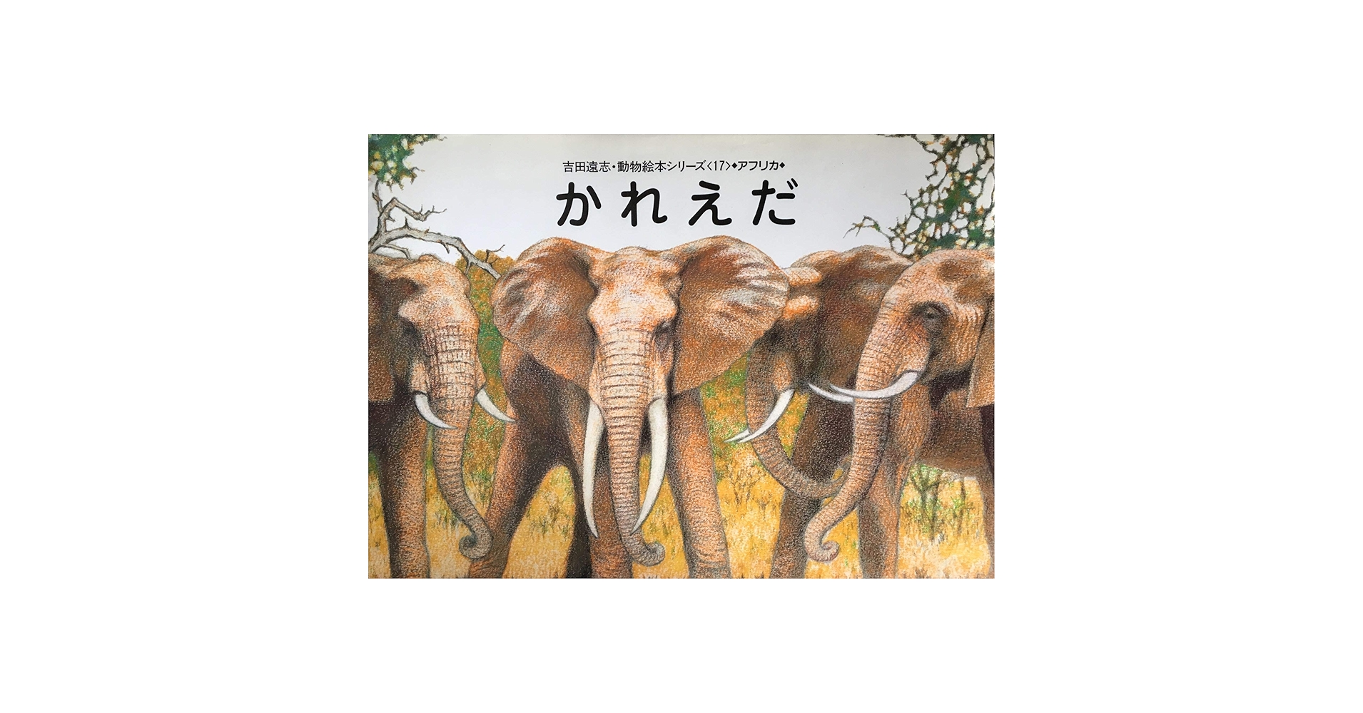 【希少 絶版】吉田遠志動物絵本シリーズ(17巻)セット Amazon.co.jp: かれえだ (吉田遠志・動物絵本シリーズ 17