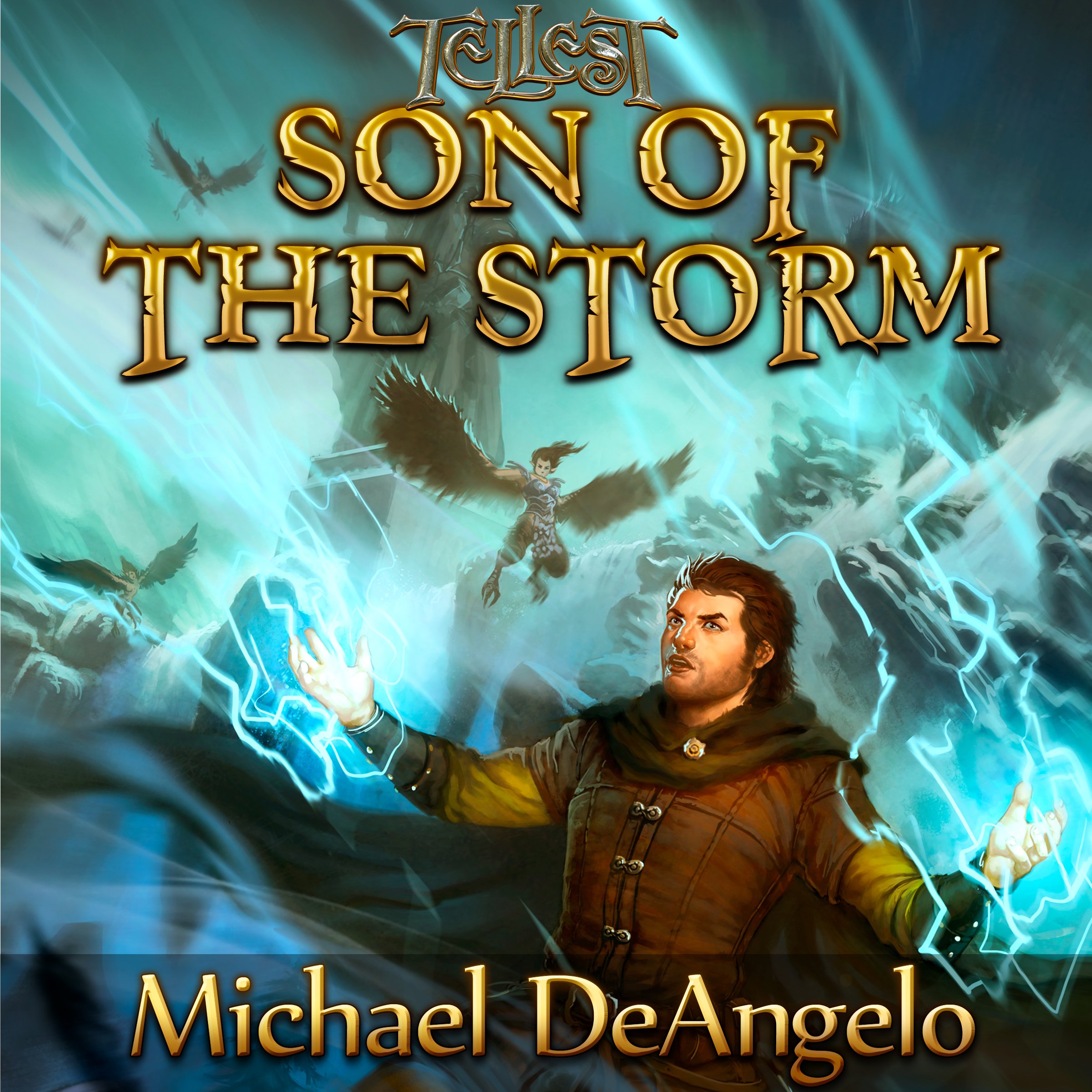 Cover art for Son of the Storm