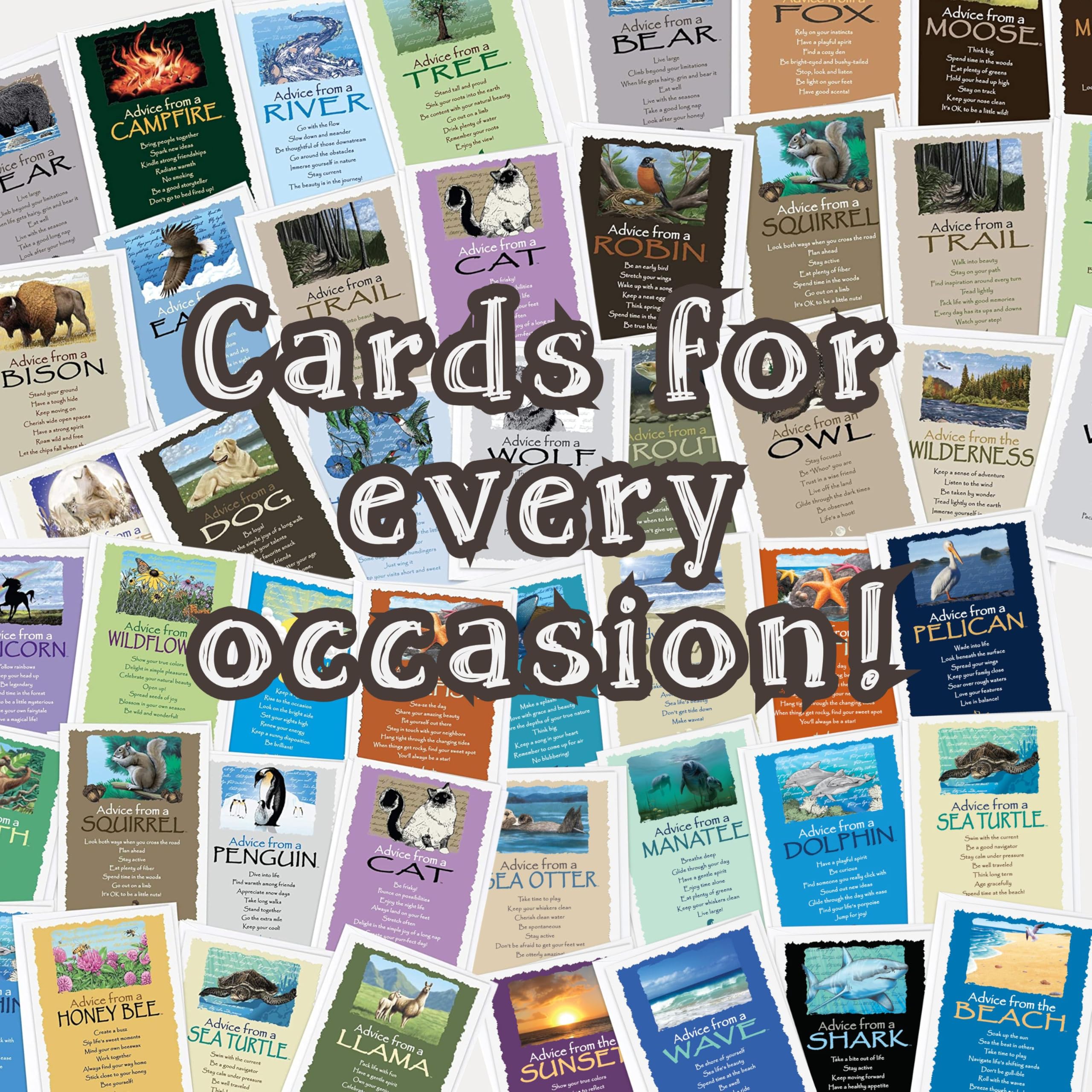 Advice from a Mountain - 6 tarjetas de felicitación para todas las ocasiones, tarjetas inspiradoras en blanco sostenibles para cualquier ocasión (GCADVMTN6-BLANK)