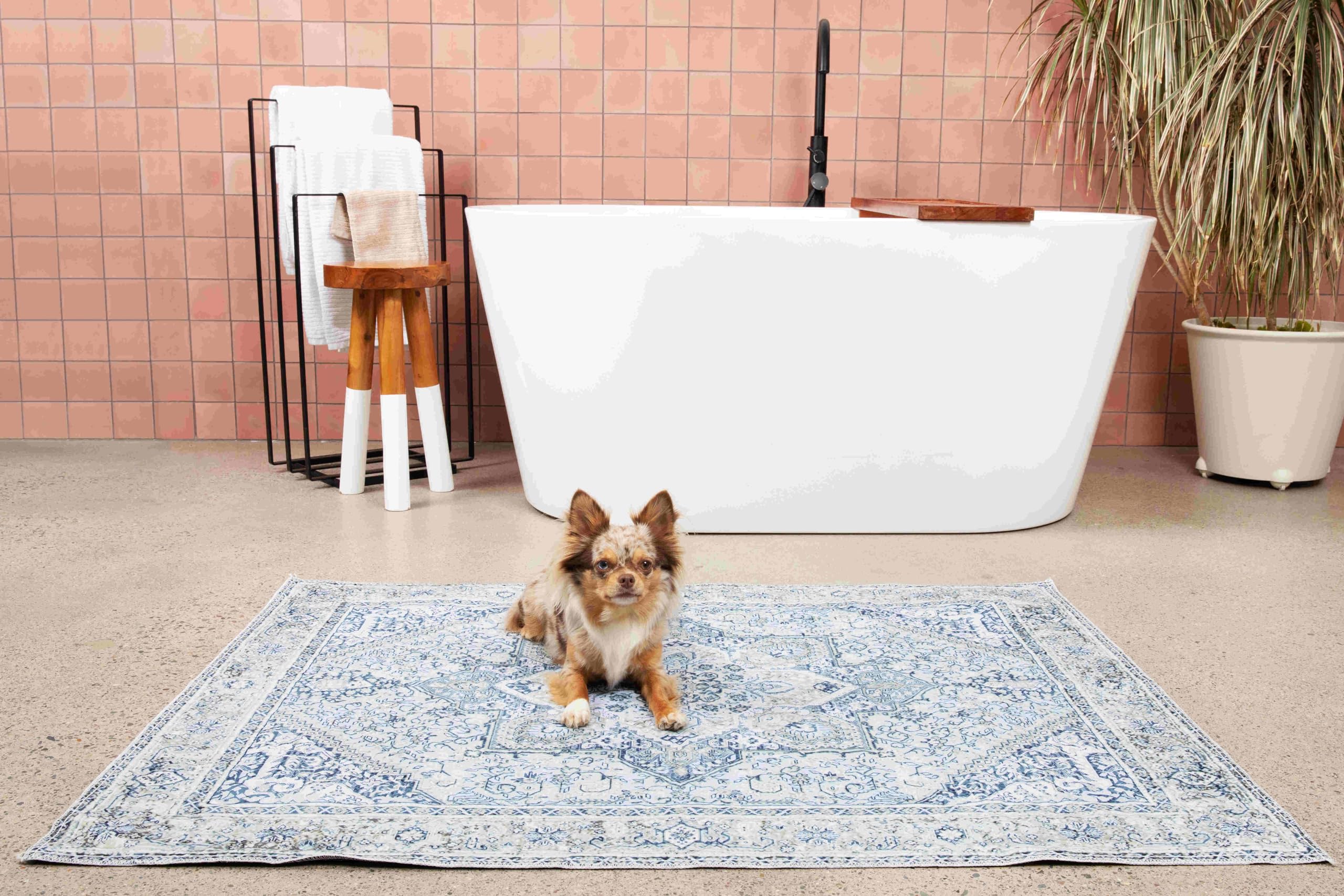 Lovewag Waschbare Hundematten – Dekorativ, 91x122 cm, wasserdicht, rutschfest, saugstark, maschinenwaschbar – Stilvoll für Seniorhunde & Welpen – 2er-Pack (Marmelade Sonnenschein)