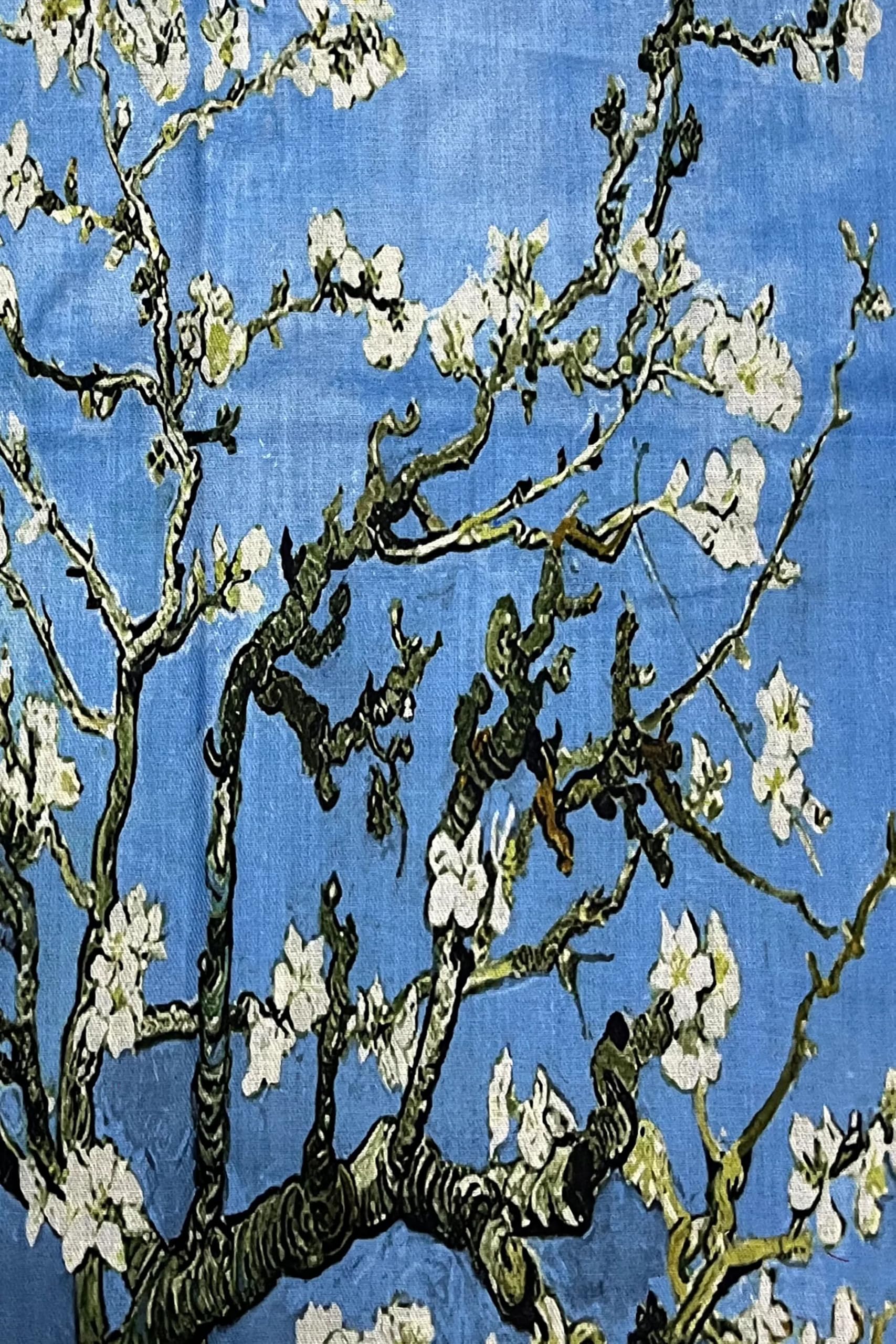 GFM® Sciarpa scialle in misto lana e cashmere, stampa artistica per autunno e inverno (PWSHL)