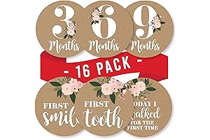 16 Rustic Monthly Baby Milestone Stickers for Baby Girl Photo Props