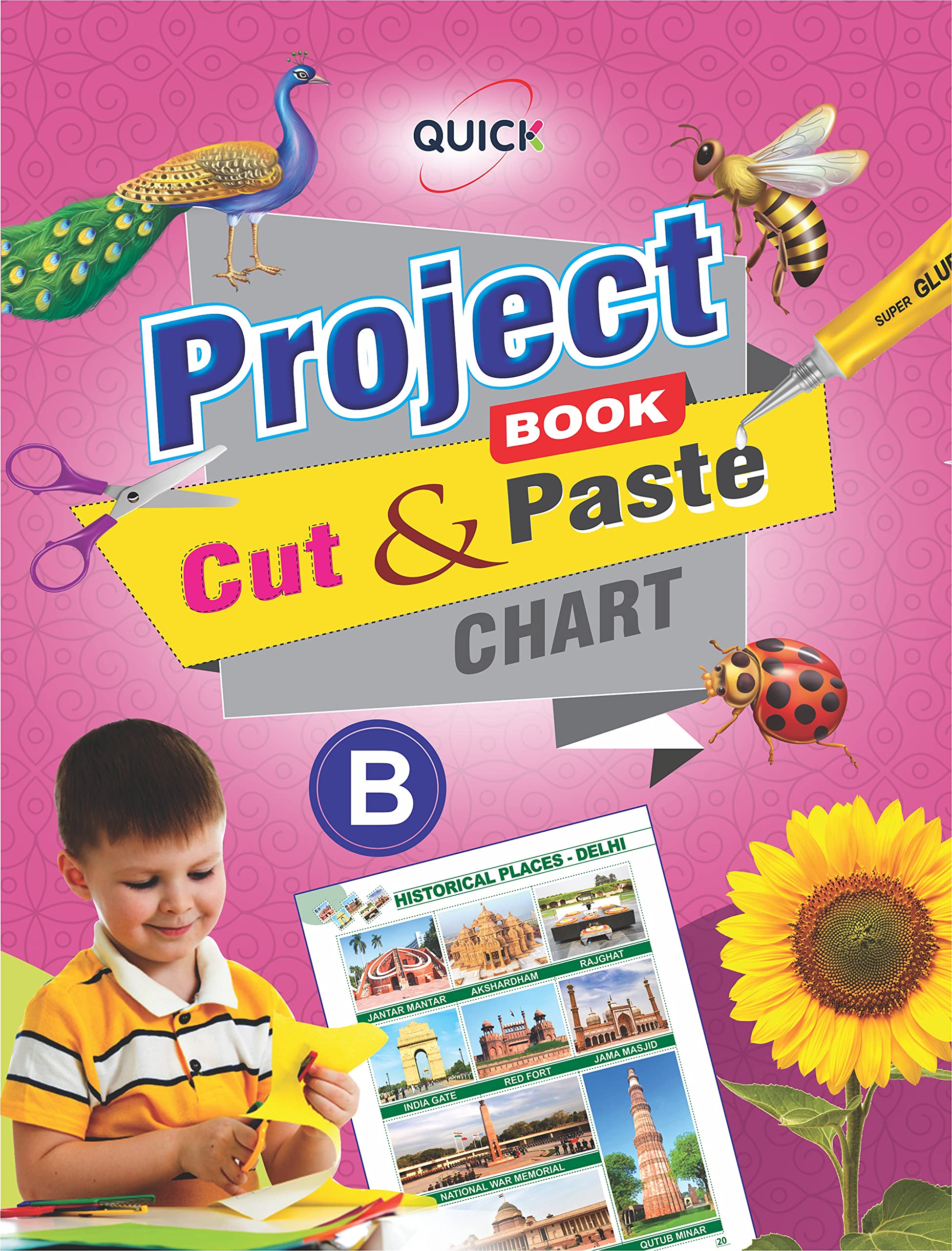 QUICK PROJECT BOOK - B- Book for Art & Craft Activity projects with lots of pictures for 2-5 year old children
