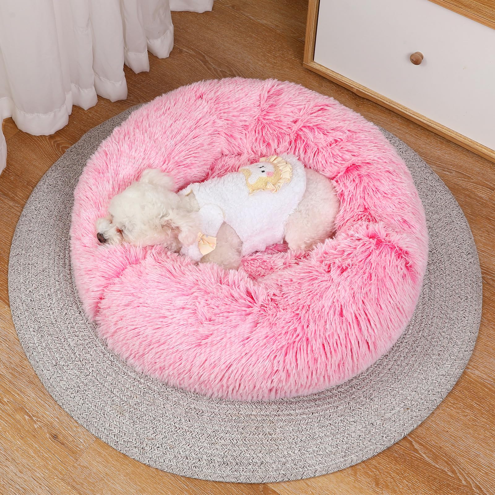 Panier Moelleux Pour Chien/chat - Taille XS 45x30 Cm - Rembourrage En Coton PP, Fond Antidérapant - Lavable