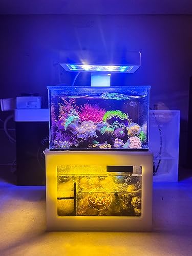 Miniatura 5 de Acuario listo para micro arrecife de 40 onzas (blanco)  Pequeño tanque de peces de agua salada de escritorio con luz LED, sumidero, bomba  agua