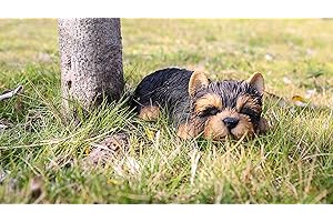 RUNADI Hi- Line Gift 87710-M Yorkshire Terrier Puppy Sleeping Pet Pals Statue, Black