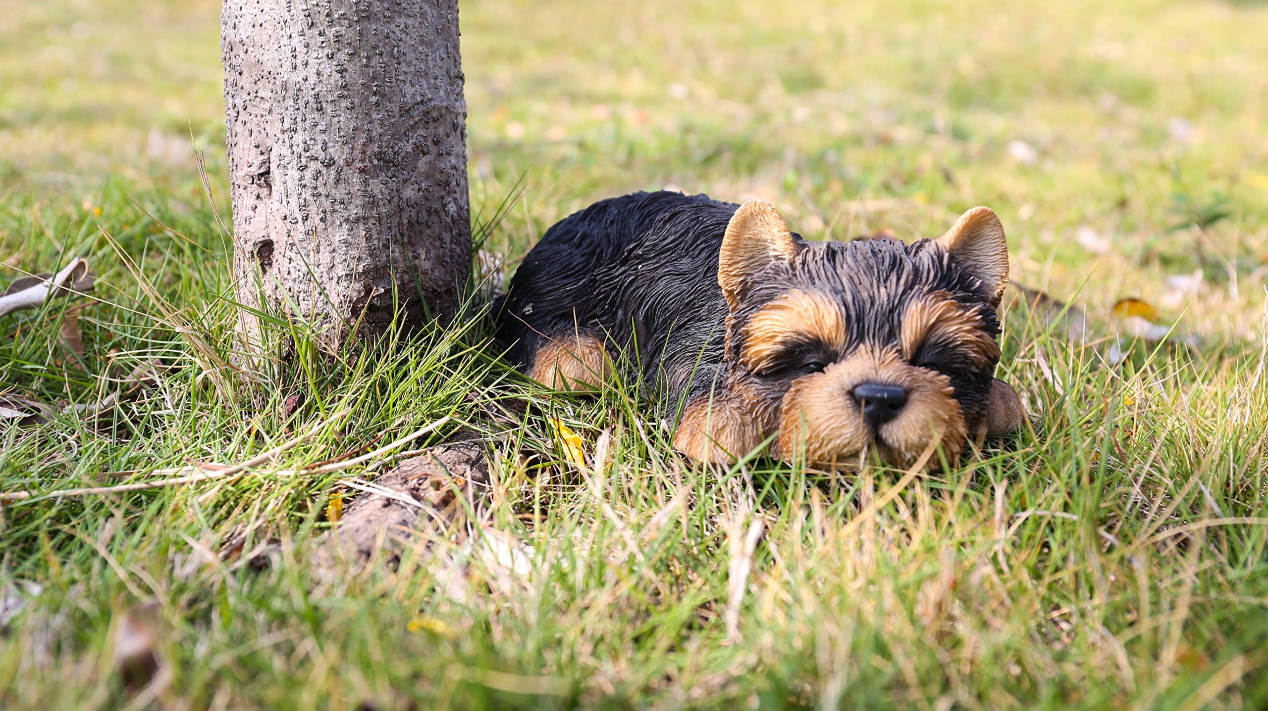 RUNADI Hi- Line Gift 87710-M Yorkshire Terrier Puppy Sleeping Pet Pals Statue, Black