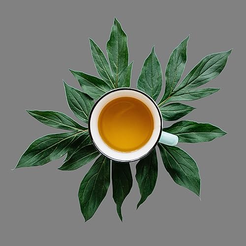 Miniatura 2 de Té negro orgánico Lapsang Souchong de hojas sueltas 8 onzas el primer sorbo de té