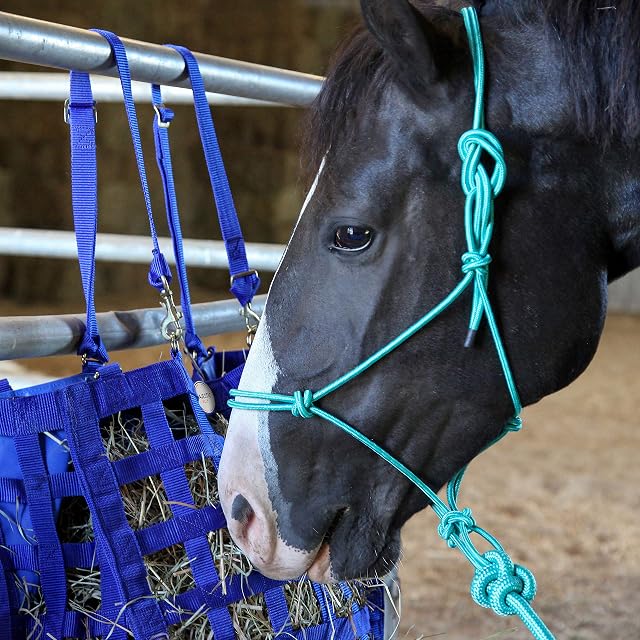 Foto 4 de 6 de Majestic Ally Cabestro de Entrenamiento de poliéster rígido con 4 Nudos de Cuerda de 1/4 Pulgadas con Cuerda…