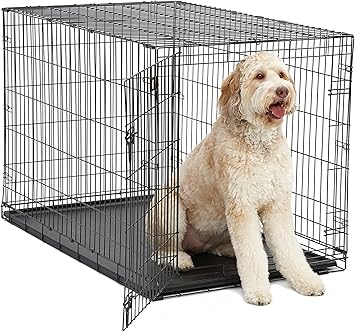 xx large dog crates