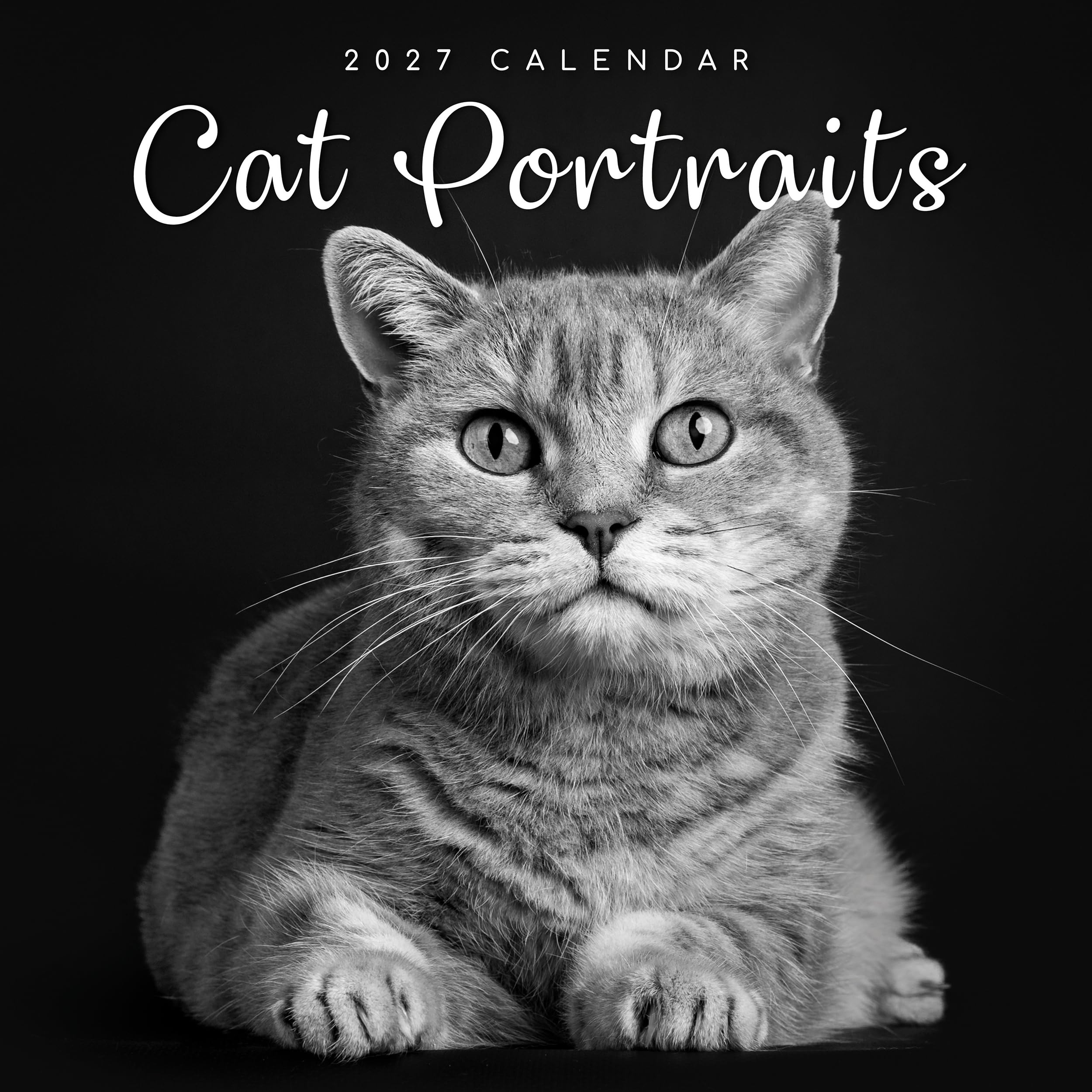 TGSC | Cat Portraits 2026-2027 Calendar, 16-Month Square Wall Calendar (Sept 2026 – Dec 2027), UK Planner with Black and White Cat Portraits, For Pet Lovers, Home Decor, Office Organiser | 30 x 30 cm