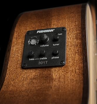 Washburn WLO10SCE - Natural