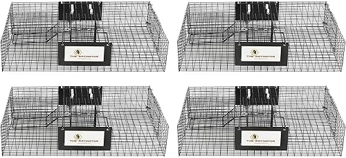 Rugged Ranch Paquete de 4 trampas para ratas, jaula de captura y liberación de ratón vivo, grande, ratinador