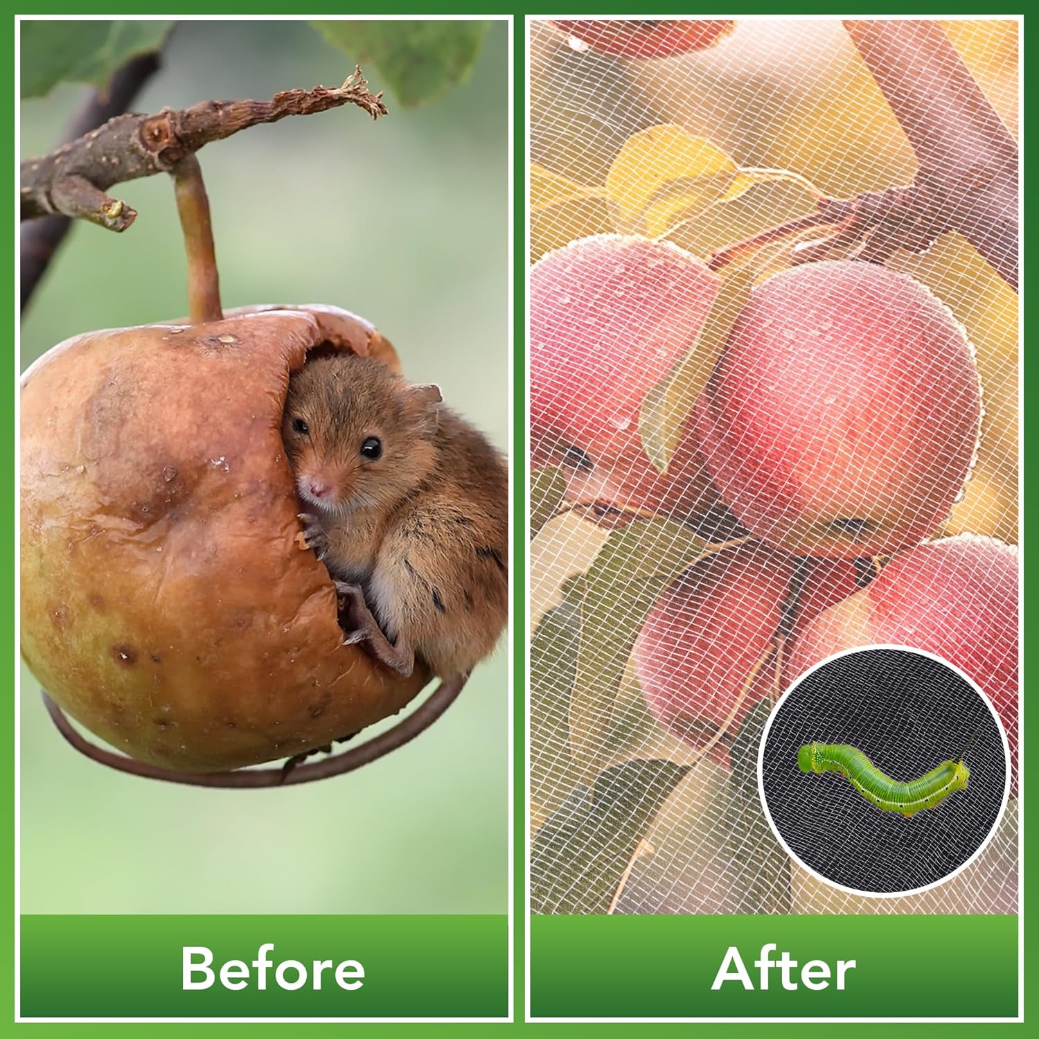 SWANGSA Garden Netting 10 X 50 FT 2 Pack, Ultra Fine Garden Mesh Plant Netting for Garden Protection Row Cover Raised Beds Screen, Protecting Plants Vegetables Flowers Fruit Trees