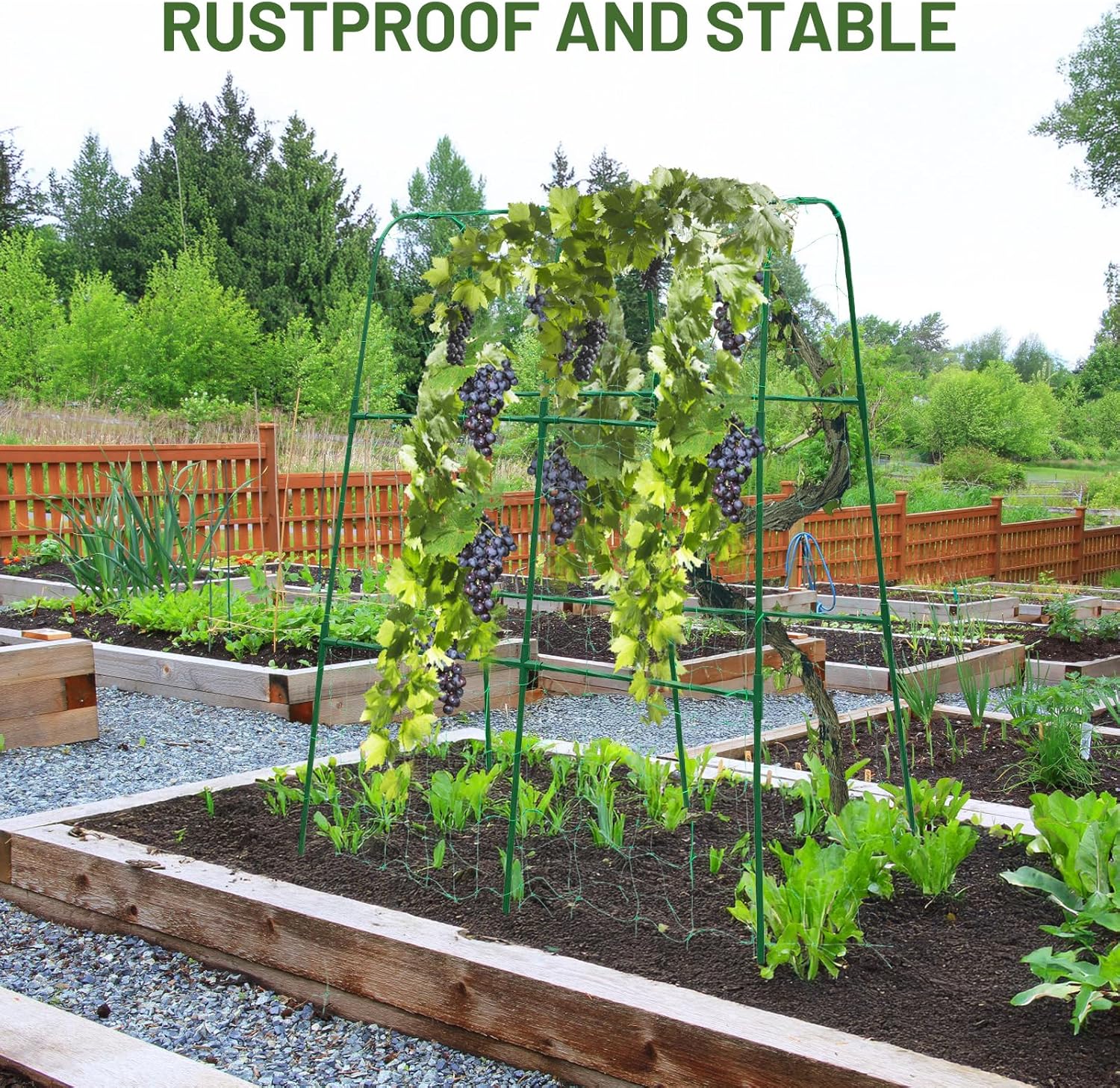 Compact U-Shaped Plant Trellis for Peas, Beans & Light Climbing Plants - Rust-Resistant, Foldable Design, Lightweight Steel, Ideal for Raised Beds & Patio Gardens(31" W x 47" H)