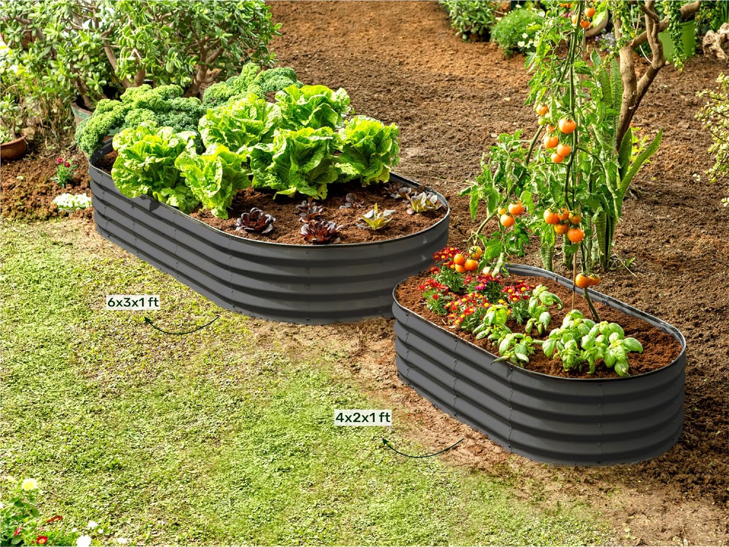 Plant & Plot Galvanized Raised Garden Beds Outdoor // 6×3×1 ft Planter Raised Beds for Gardening, Vegetables, Flowers // Large Metal Garden Box // Patented Tool-Free Design (Dark Gray)