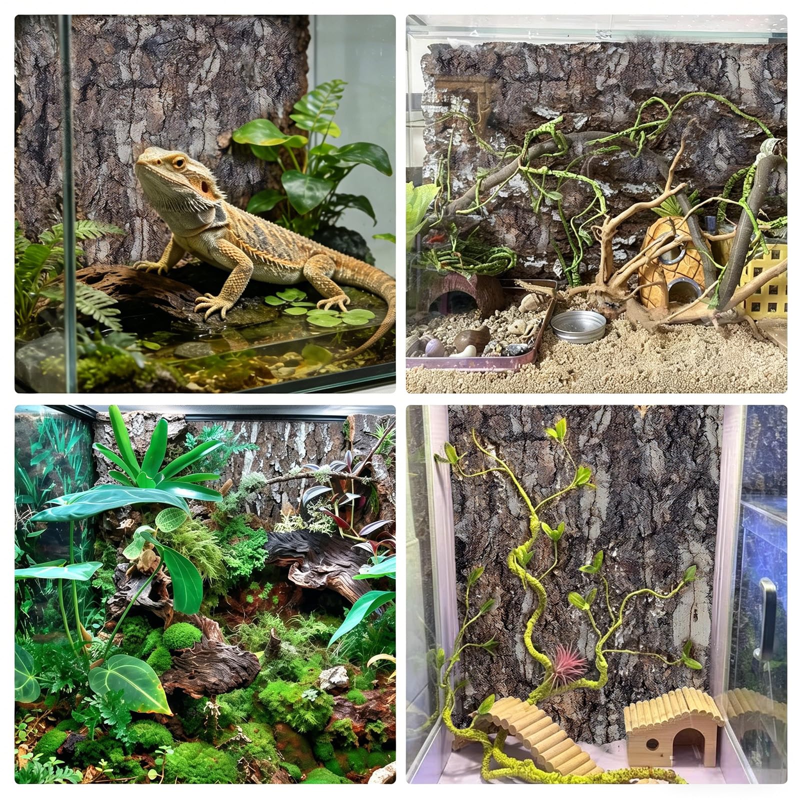 5 Pièces Écorce De Liège Pour Terrarium, 5×5cm*3 + 20×30cm*2 Panneaux De Fond En Écorce De Liège Pour Terrarium, Toiles De Fond En Écorce De Liège,Terrariums En Liège, Pour Lézard, Tortue, Gecko