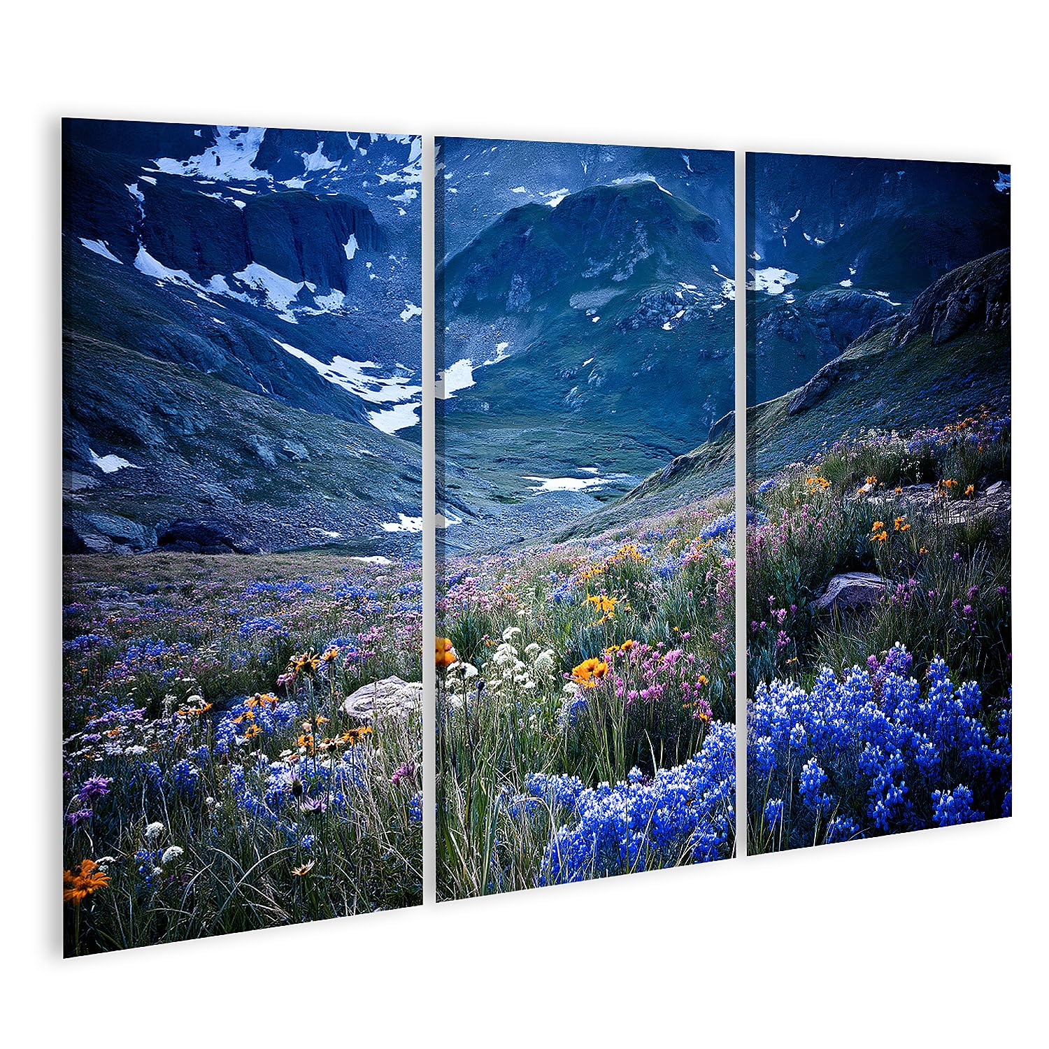 islandburner Quadro su tela Maestosi fiori alpini alla luce della sera murale per gli amanti della natura in soggiorno - 3 pezzi