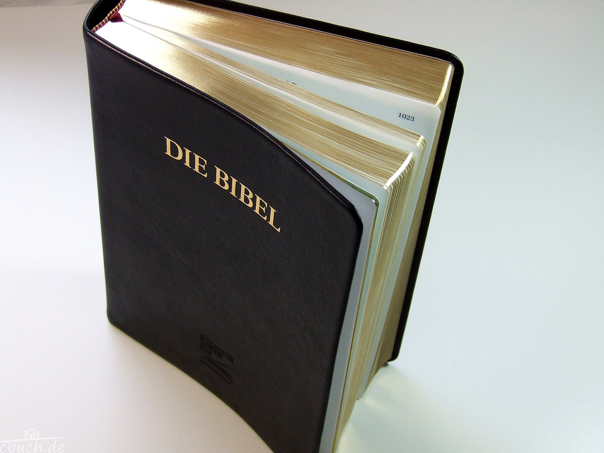 Schlachter 2000 Bibel - Großdruckausgabe (Softcover, schwarz, Goldschnitt): Großdruckausgabe, Rindleder-Einband (flexibel), Goldschnitt, Fadenheftung / ohne Parallelstellen