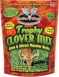 Antler King Trophy Clover Mix