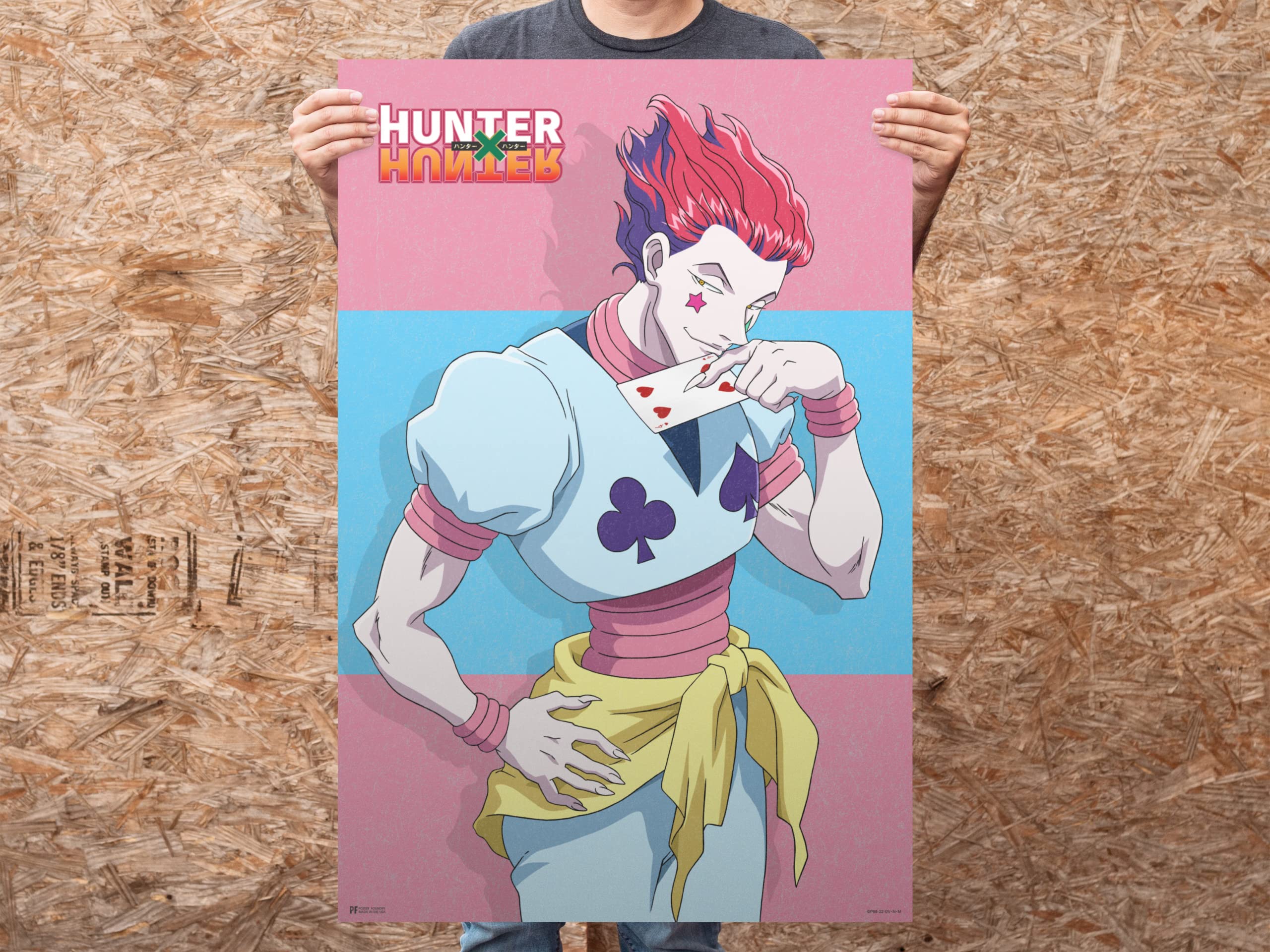 Amazon.com: Hisoka Poster Hunter X Hunter Anime Posters Merch