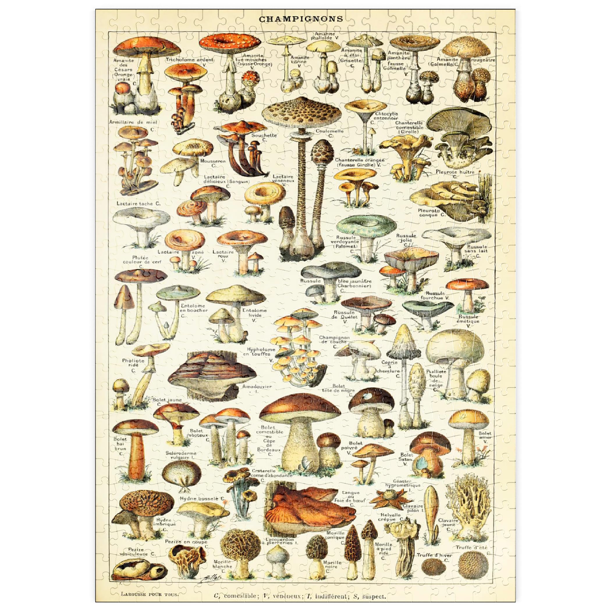 Champignons, Mushrooms for All Vintage Art Poster, Adolphe Millot, Premium 500 pieces Puzzle