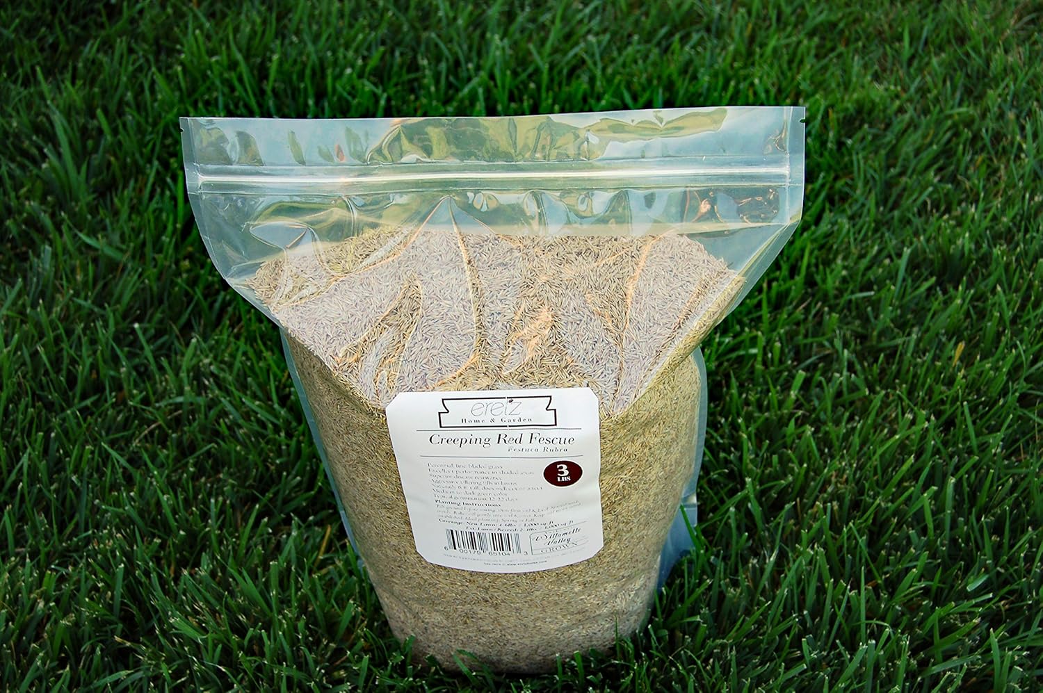 Creeping Red Fescue Seed by Eretz (3lb) - Choose Size! Willamette Valley Oregon Grown, No Fillers, No Weed or Other Crop Seeds, Premium Shade Grass Seed.