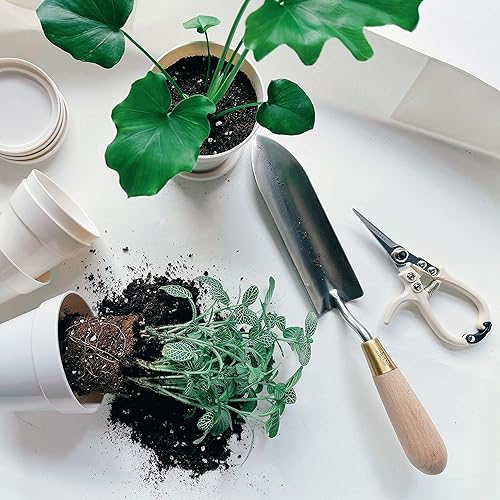 Miniatura 3 de Tijeras de podar de plantas, tijeras de podar de jardín, podadora manual de precisión, tijeras de hierbas, cortadores de flores, recortadores de