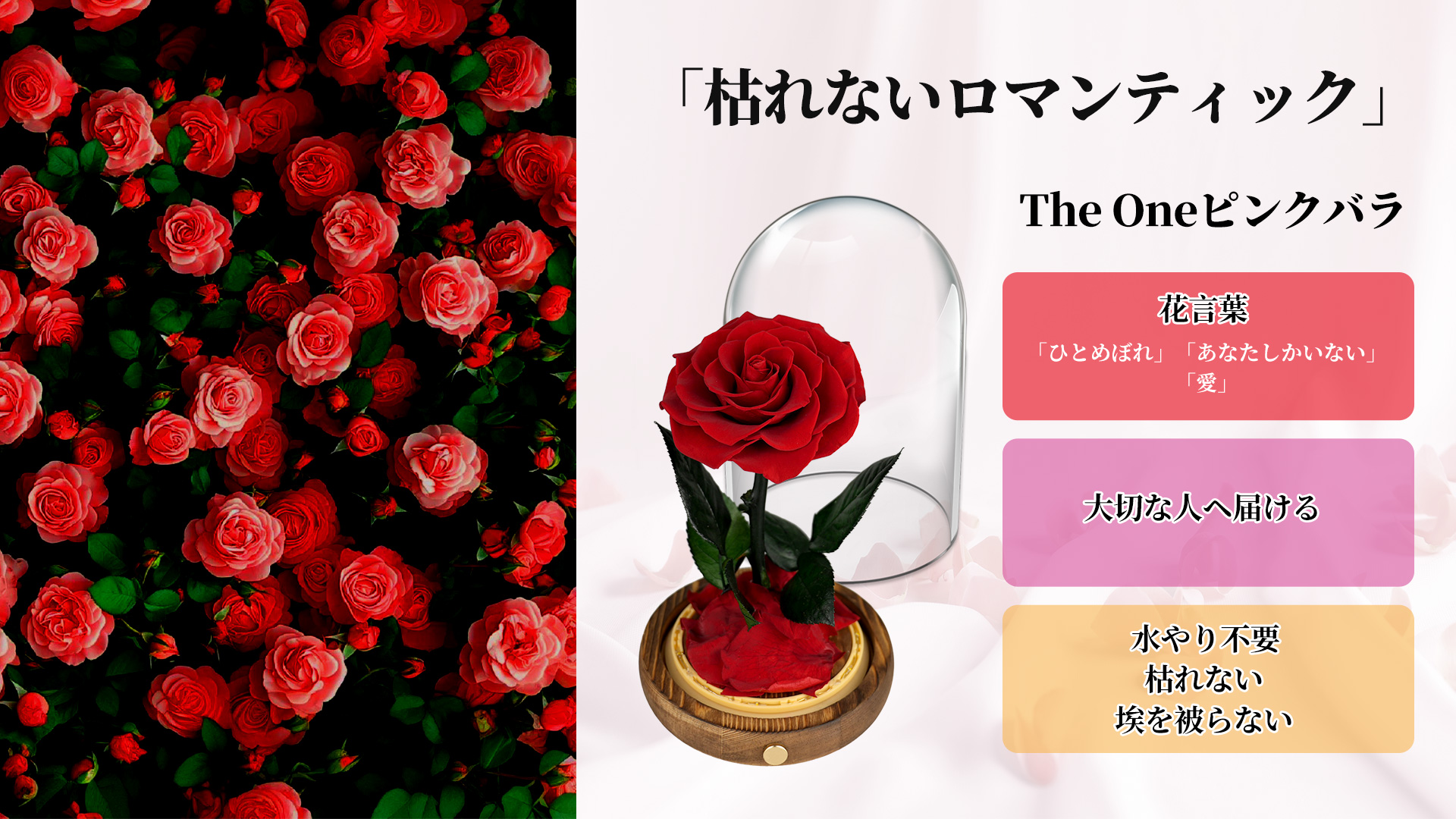 大切な人へ 薔薇 【公式通販】